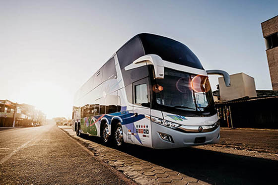 Large buses for a large group