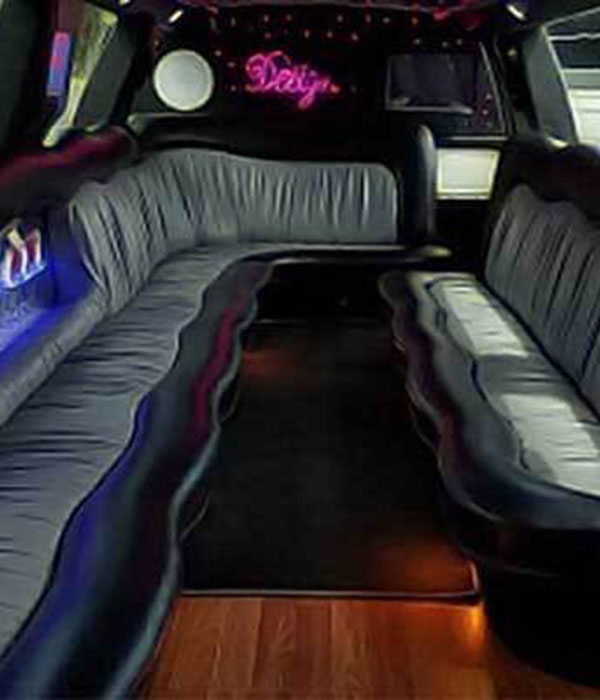 Stretch limo leather seating